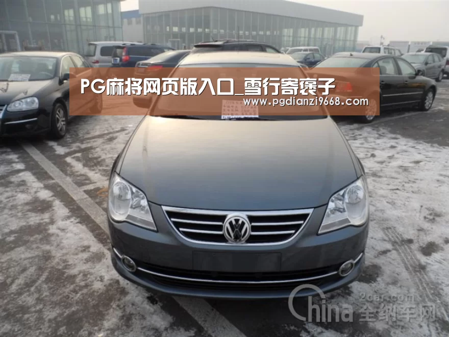PG麻将网页版入口