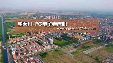 望秦川_PG电子老虎机(图3) PG电子老虎机